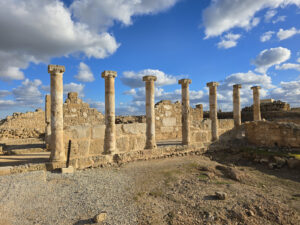 Археологический парк Пафоса